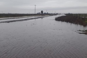 Se pronostican bajas temperaturas y algunos acumulados de lluvia adicionales, lo que dificultará el secado de los cultivos.
Foto: Gentileza María Cecilia Cendon