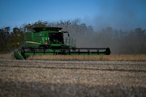 La Bolsa de Cereales de Buenos Aires elevó la proyección de producción a 50,3 MTn.